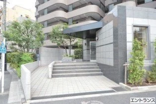 ビルの入り口に続く階段とスロープ、周囲に植物と建物の exterior