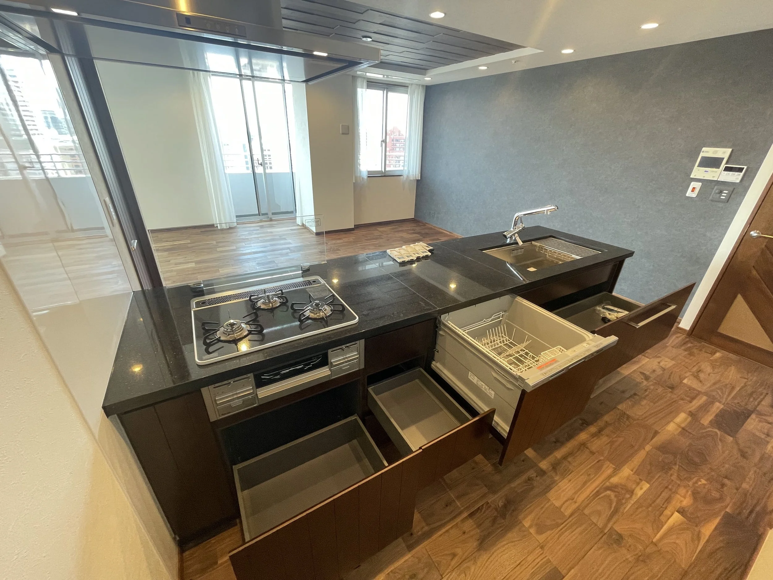 キッチンエリアにコンロ、シンク、食器洗い乾燥機があり、背景はリビングルームとバルコニーが見える。