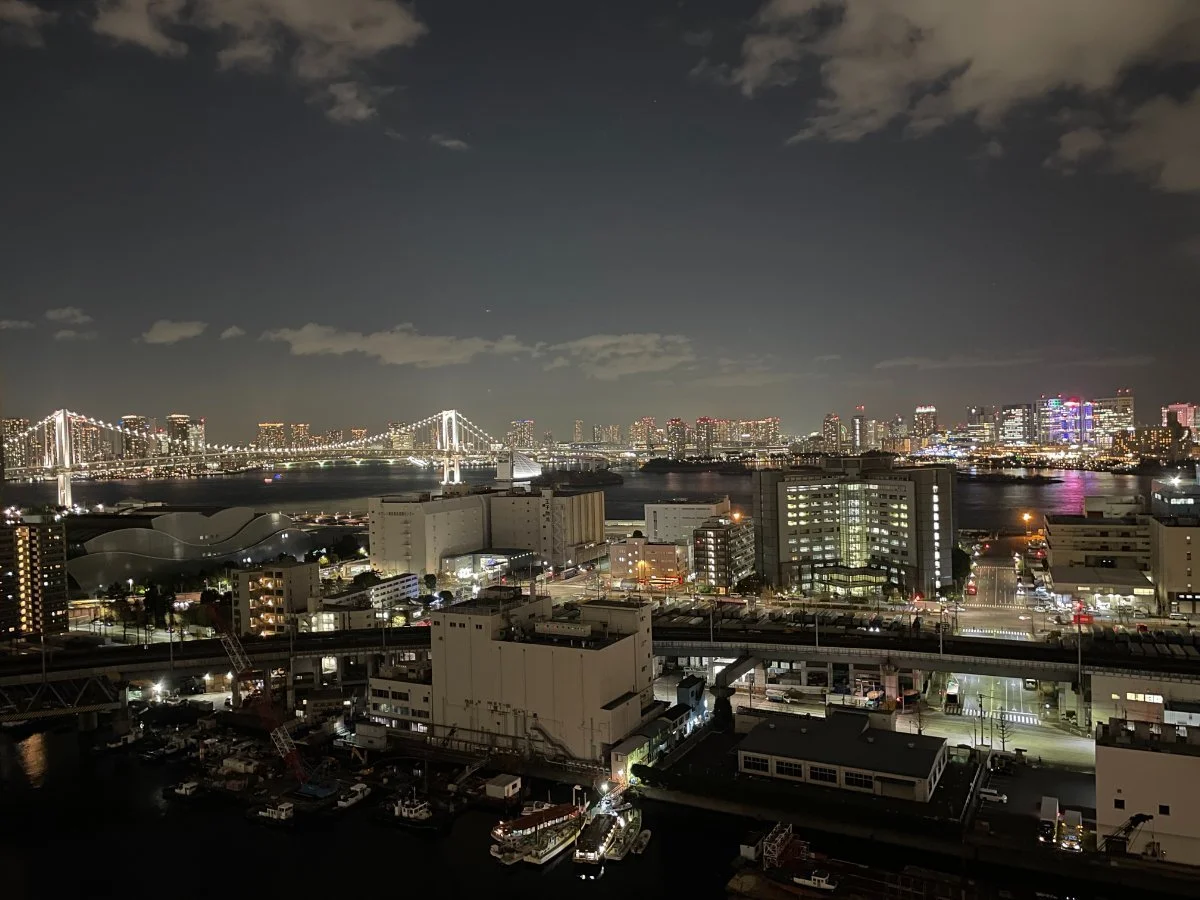 夜の東京の街並みとレインボーブリッジの夜景