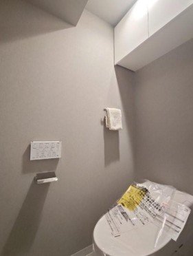 白い壁と天井が見えるトイレの壁面には紙とタオルが掛けられたフックがあり、トイレットペーパーホルダーと便座が見える
