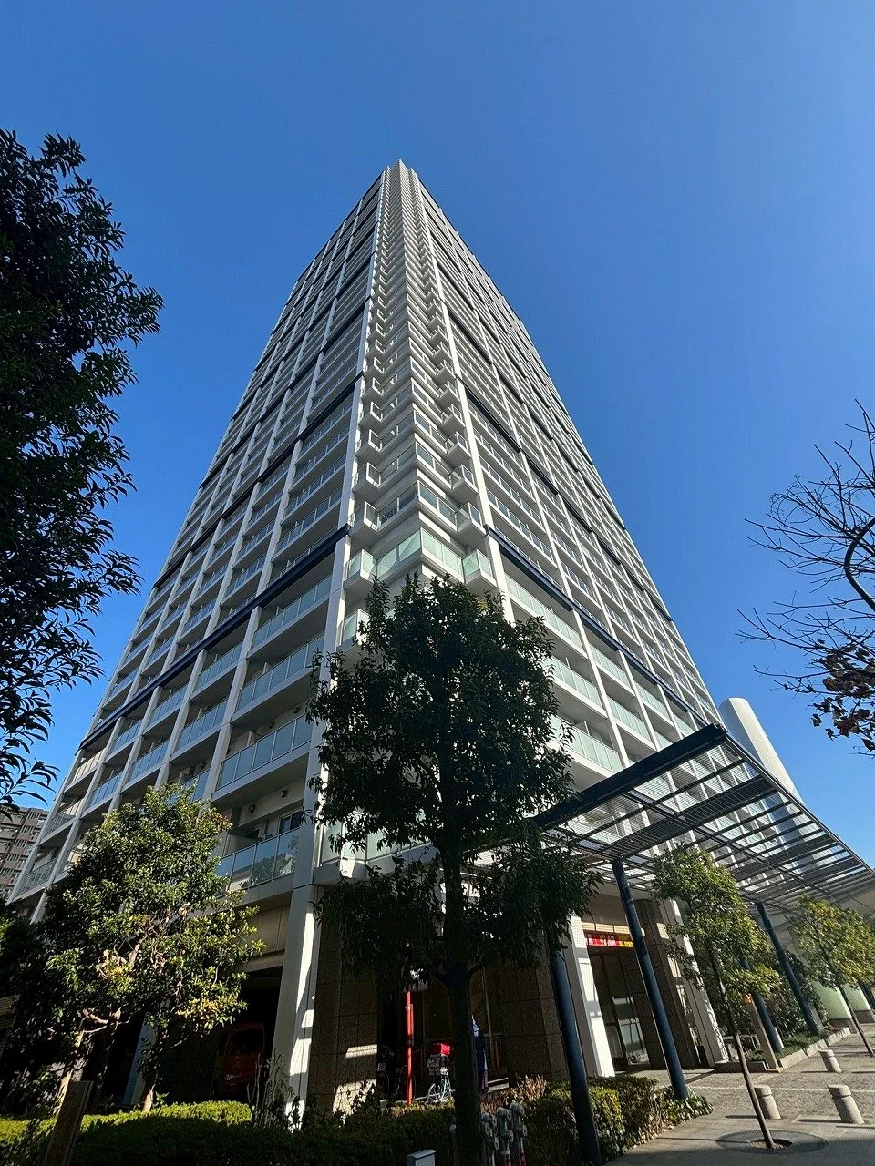 高さのある高層ビルと青空、周囲に木や歩道がある都市の風景