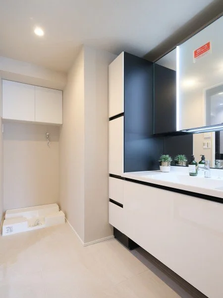 白と黒のモダンなキッチンの洗面台と鏡。カウンター上に植物と洗剤瓶。洗濯機置き場も見える。