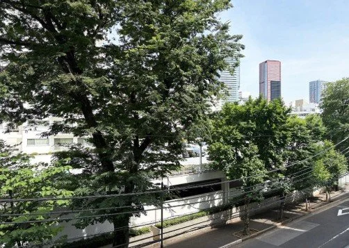 都市の道路と樹木、背景に高層ビル群