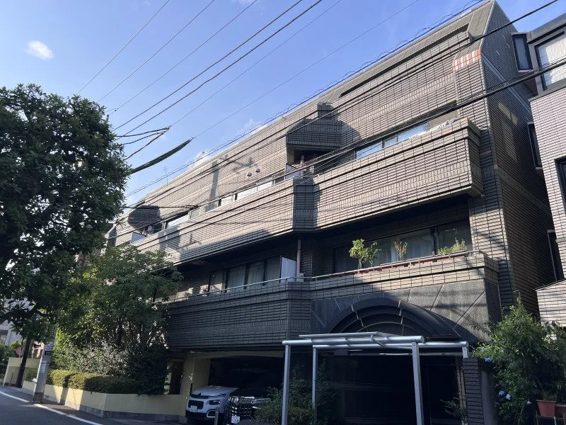 多層の灰色の建物と緑の木々、青空に電線が張られている都市の景色