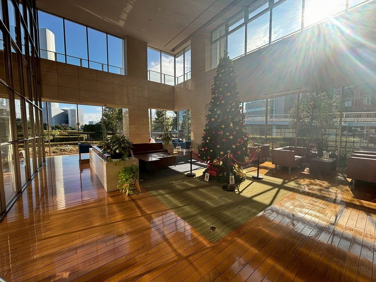 クリスマスツリーと陽射しが差し込む明るいロビーの interior of a hotel lobby with a decorated Christmas tree and large windows letting in sunlight