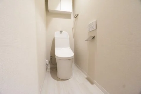 トイレと壁にホワイトペーパーの棚や配線があるシンプルなトイレルーム