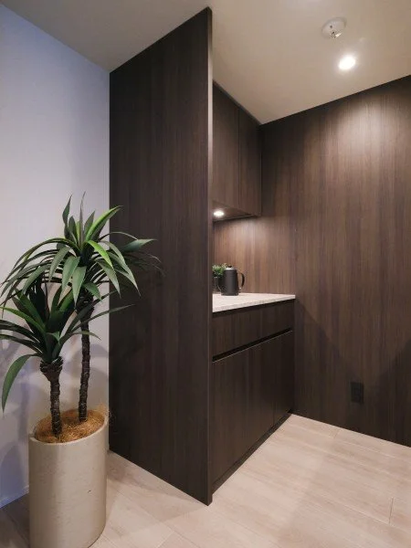暗い木製の壁とキャビネットがあるモダンなインテリアの一角に、ポットに入った観葉植物が置かれている写真です。