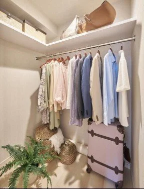 クローゼット内に服とバッグを掛けるためのハンガーパイプといくつかのバッグ、スーツケース、観葉植物が置いてある。