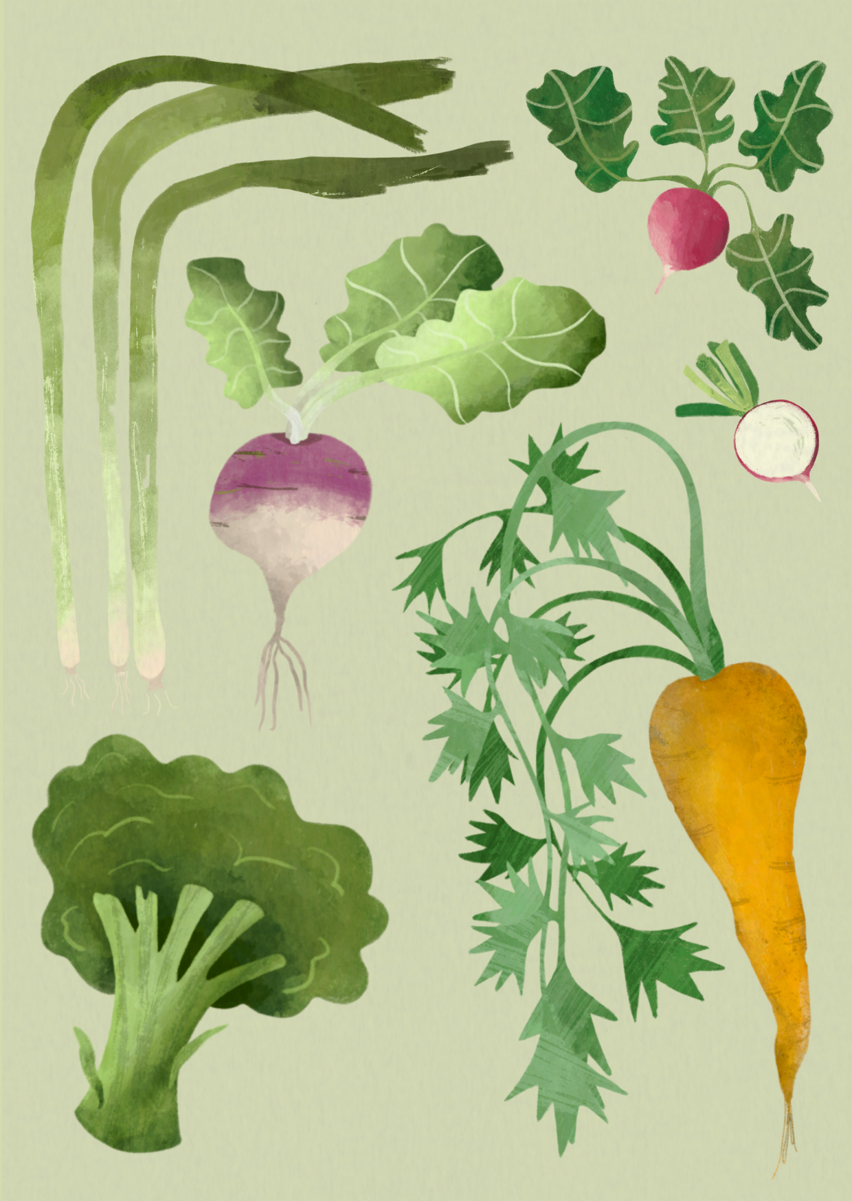 Illustration of various colorful vegetables including green onions, radish, turnip, broccoli, and carrot on a light green background.