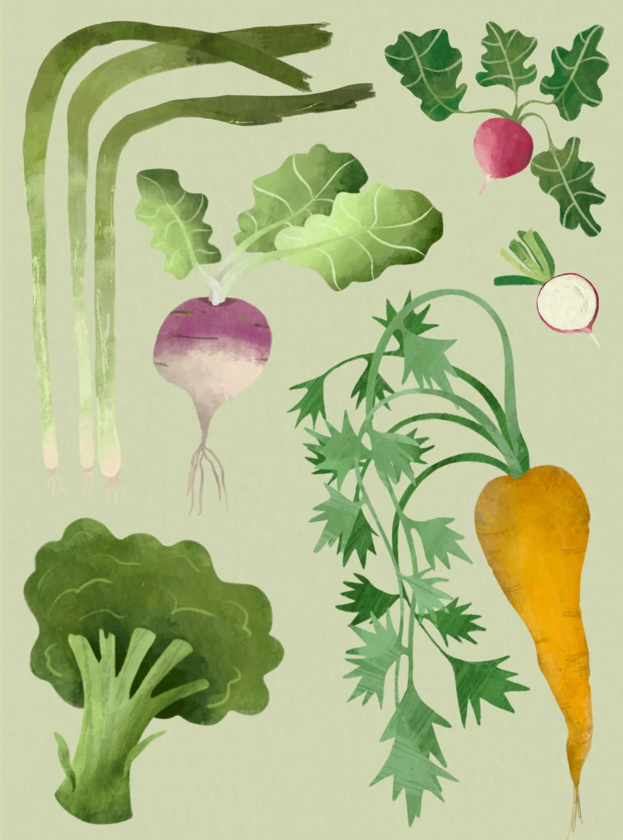 A few things from the garden 🌱

#childrensillustration #childrensbookillustration #kidlitart #illustrator #botanicalillustration #foodillustration #gardenillustration