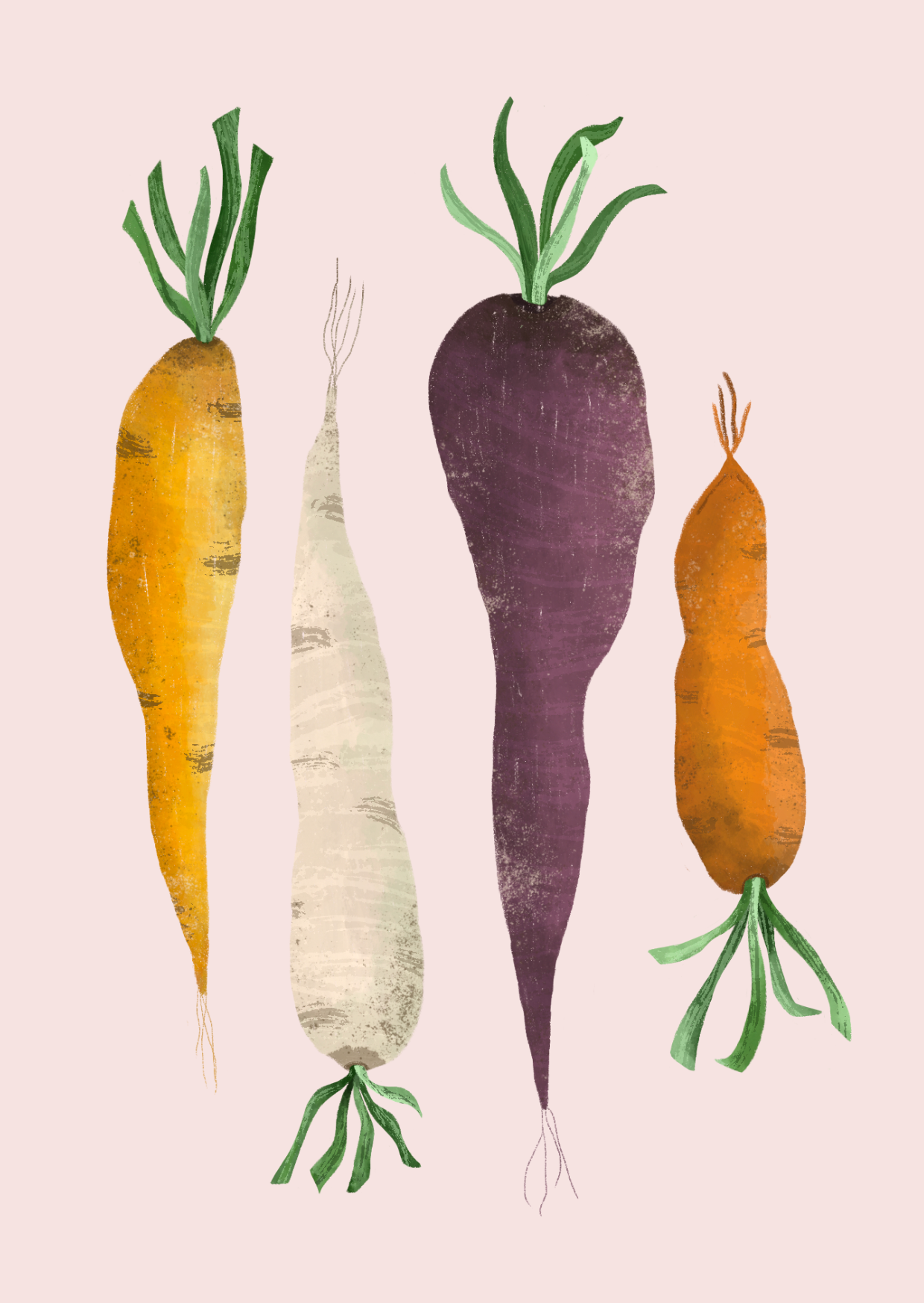 Digital illustration of four colorful carrots with green leaves, set against a light pink background.