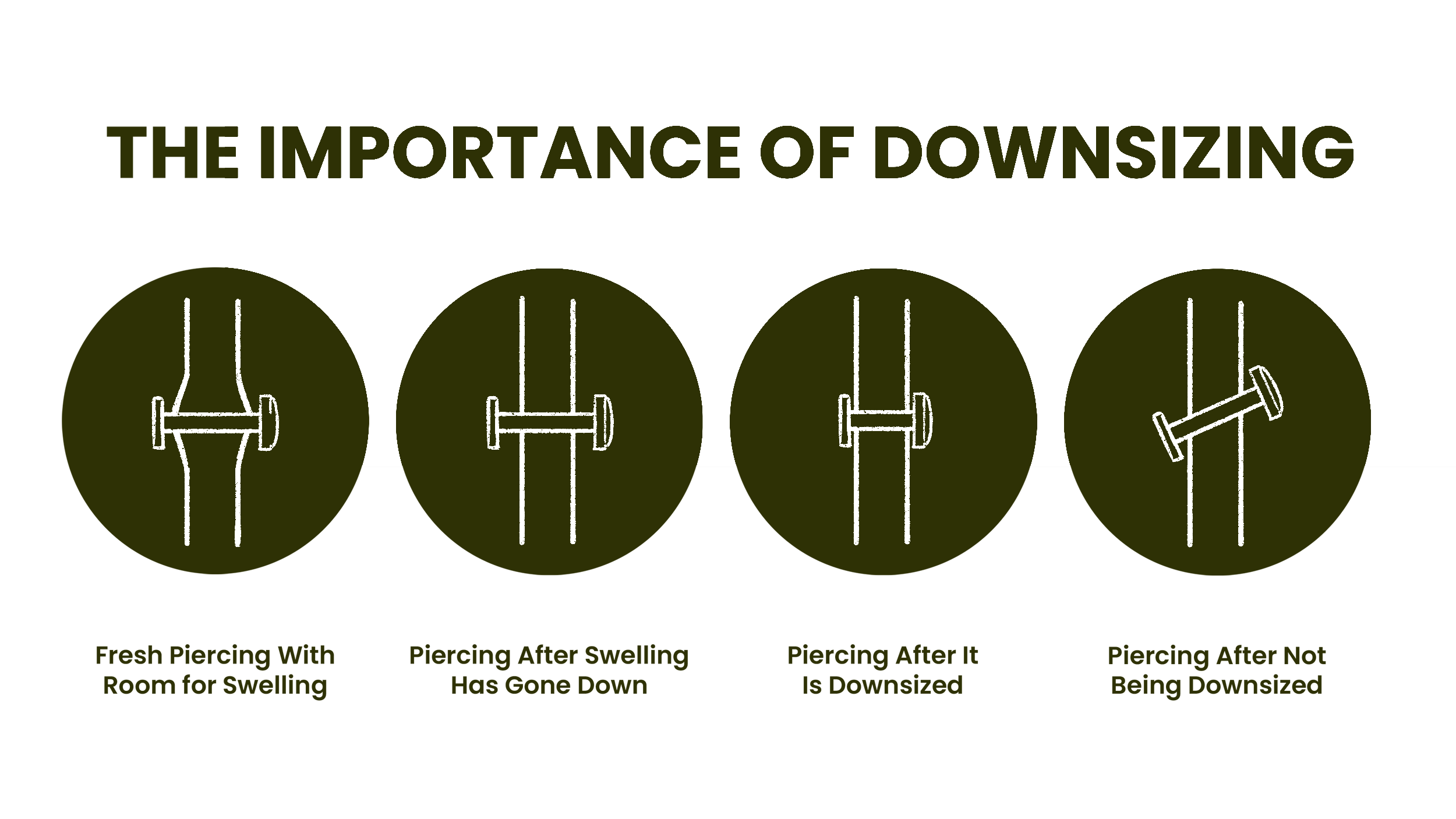 A graphical infographic illustrating the importance of downsizing piercings with four stages: 1) Fresh piercing with room for swelling showing a straight barbell piercing, 2) Piercing after swelling has gone down showing a slightly smaller barbell, 3) Piercing after it is downsized showing an even smaller barbell, 4) Piercing after not being downsized showing a tilting barbell.