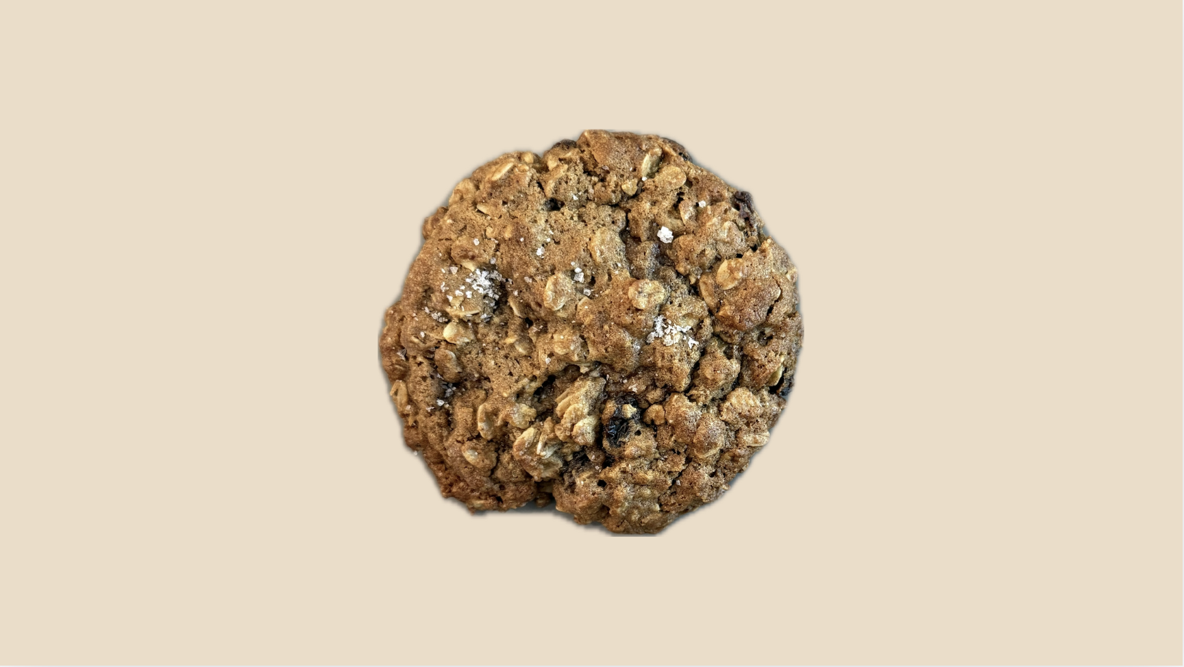 Rustic Oatmeal Raisin