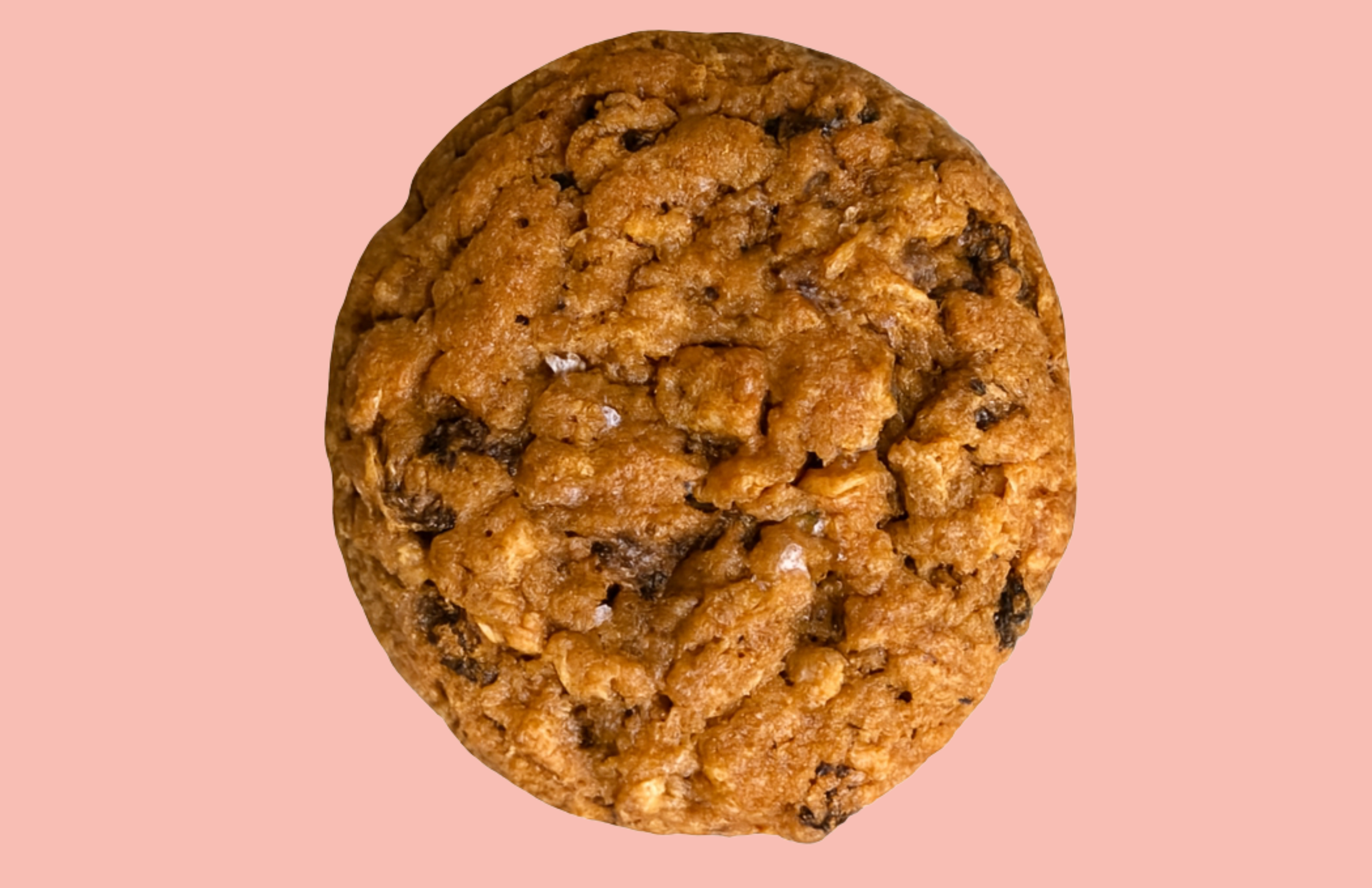 Rustic Oatmeal Raisin