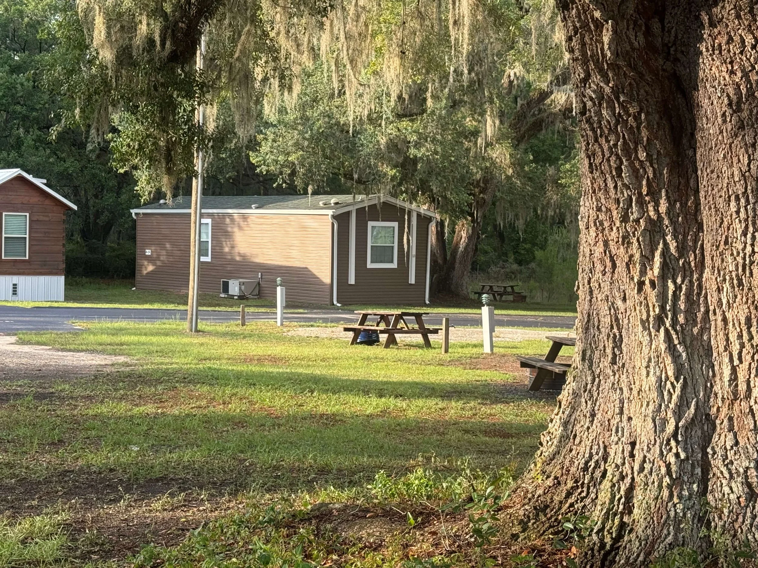 View of Cabin 13
