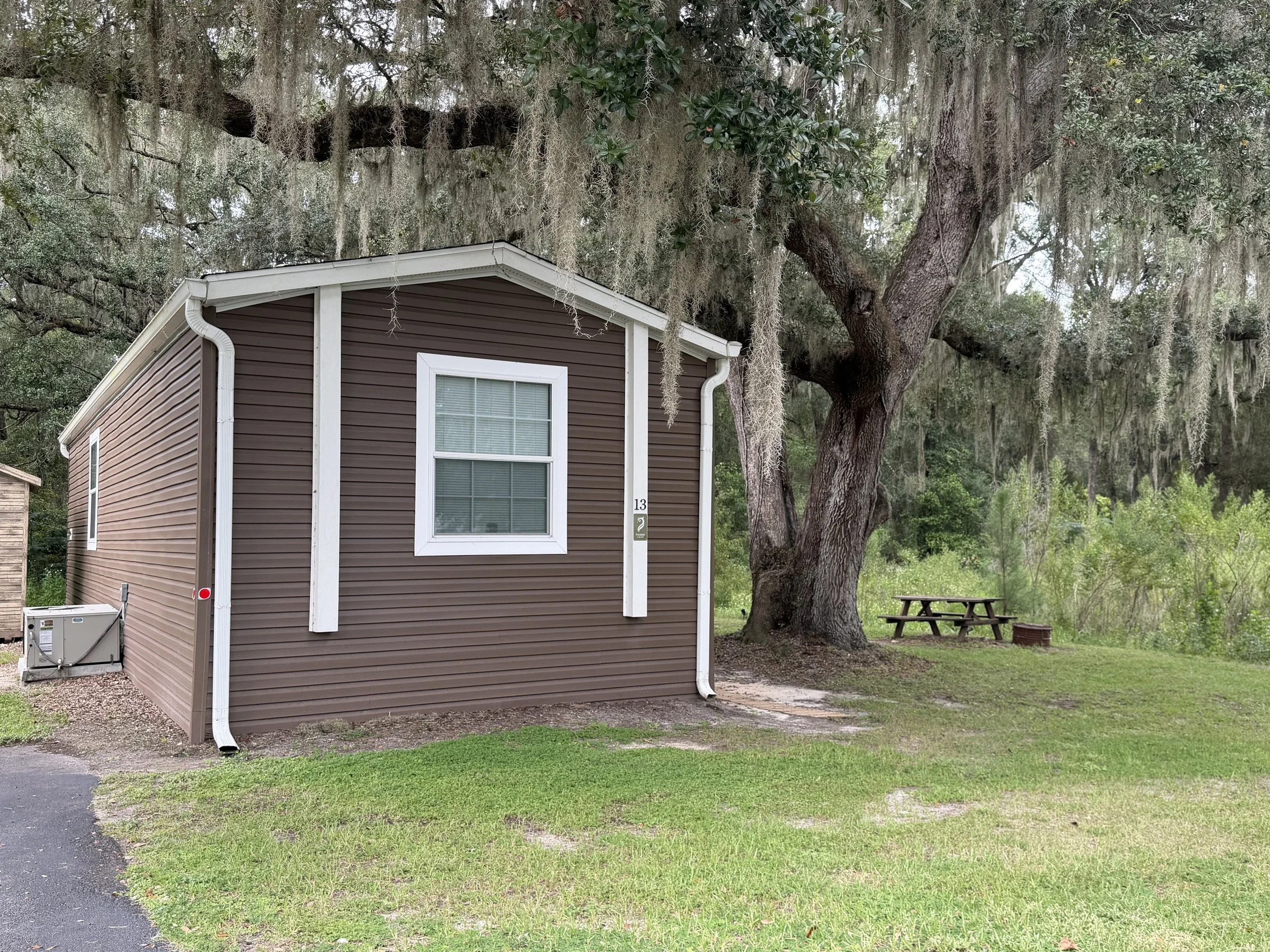 Nestled under a 250 year old tree.