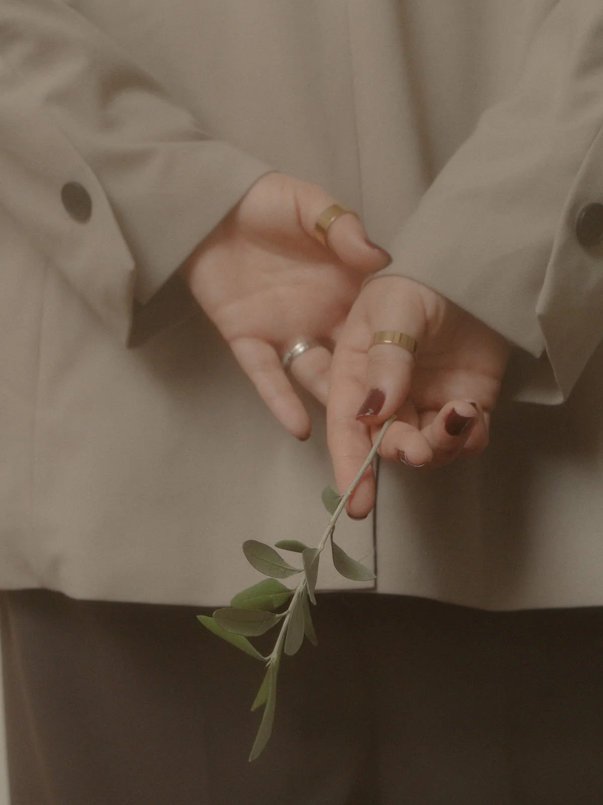 Close-up of a person's hand holding a sprig of green eucalyptus, wearing rings and a beige trench coat.