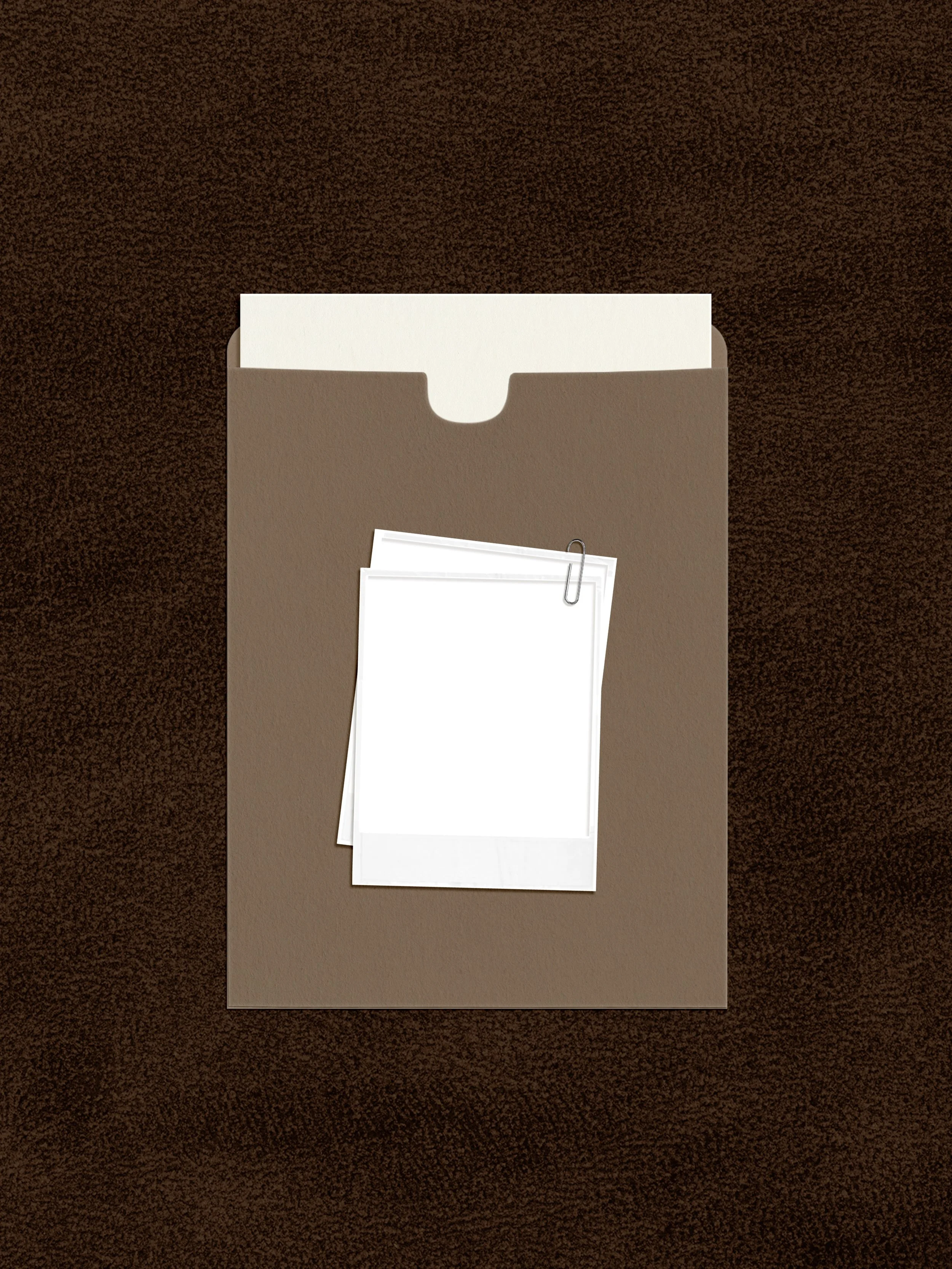 10. Mailer Kraft with polaroids.jpeg