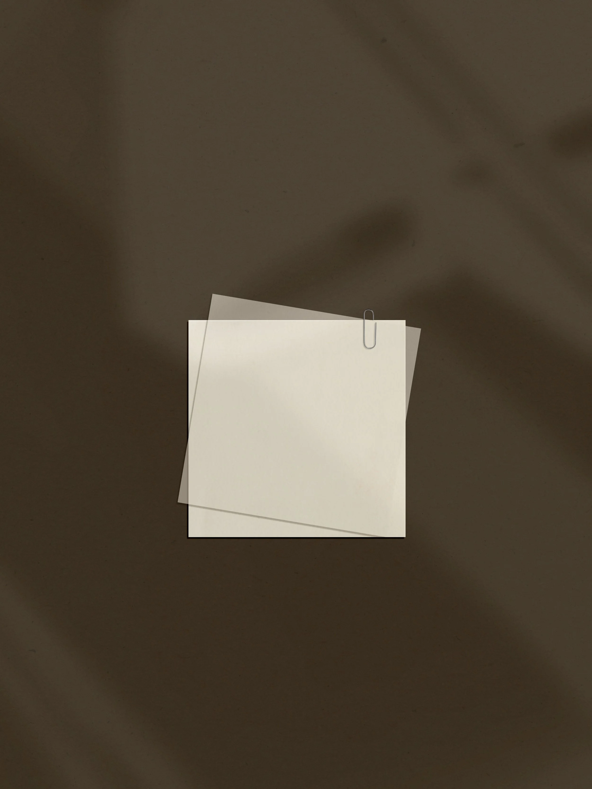 15. Square Cards Clipped.jpeg