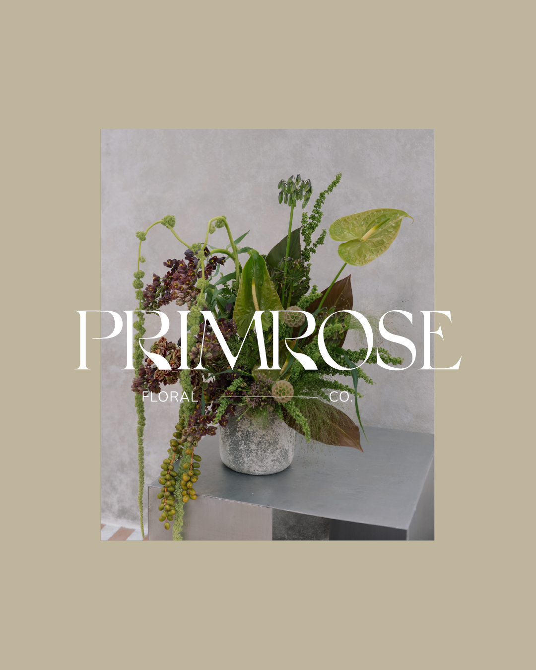 Primrose Launch Graphics-06.png