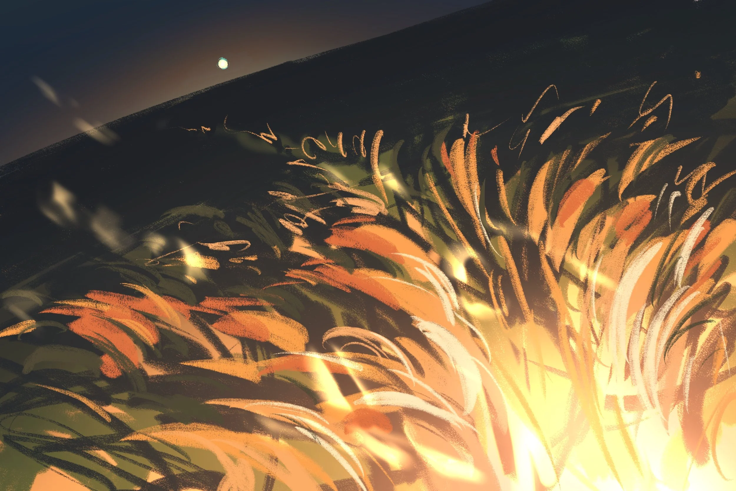 Wheatfield Forever