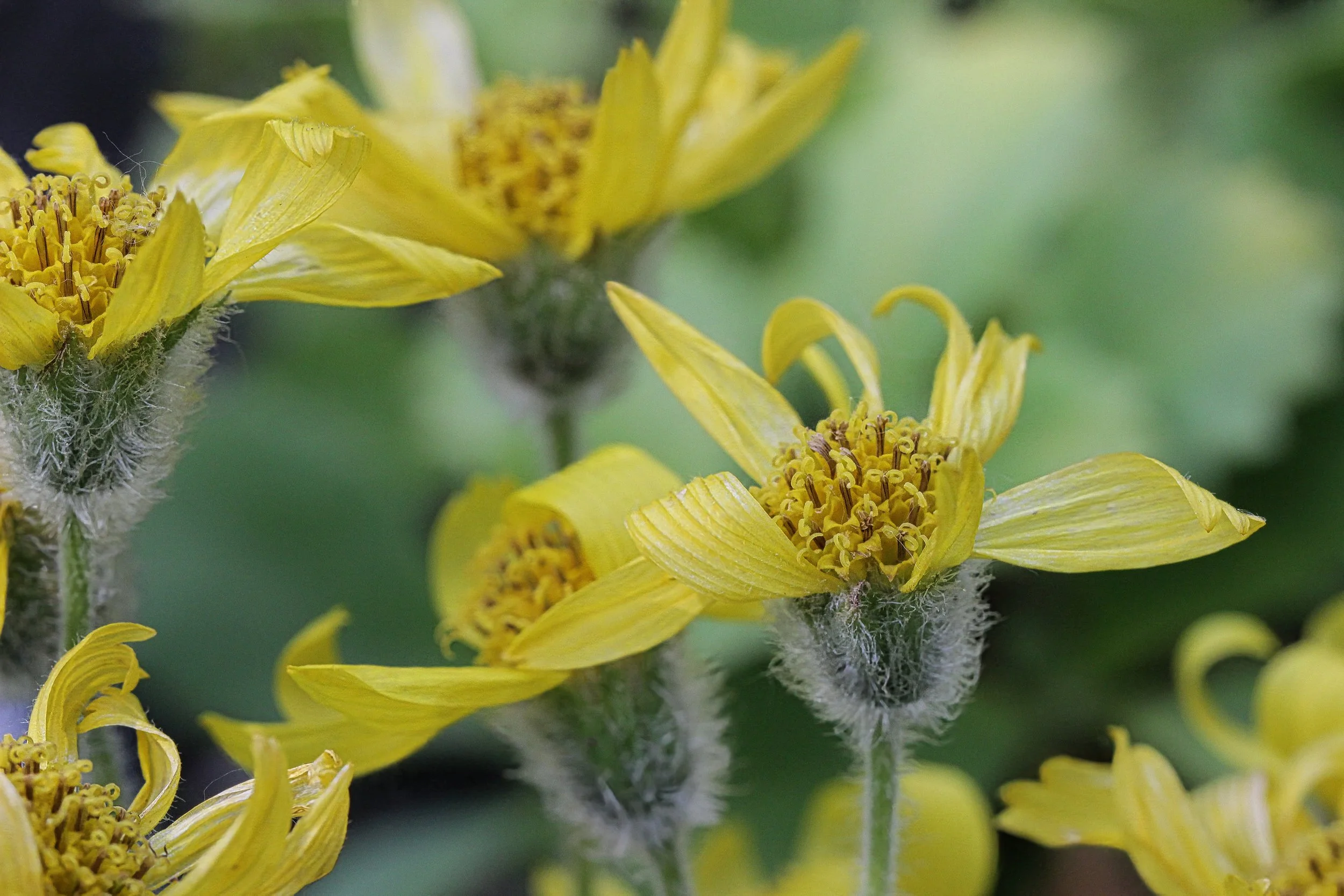 12 month coaching package