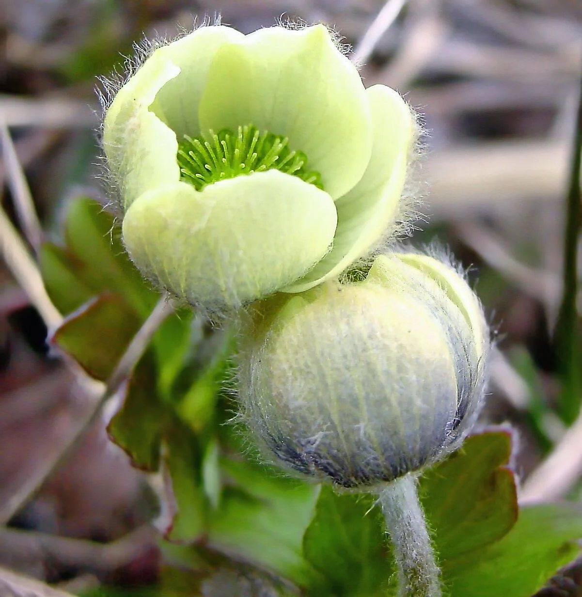 6 month coaching package