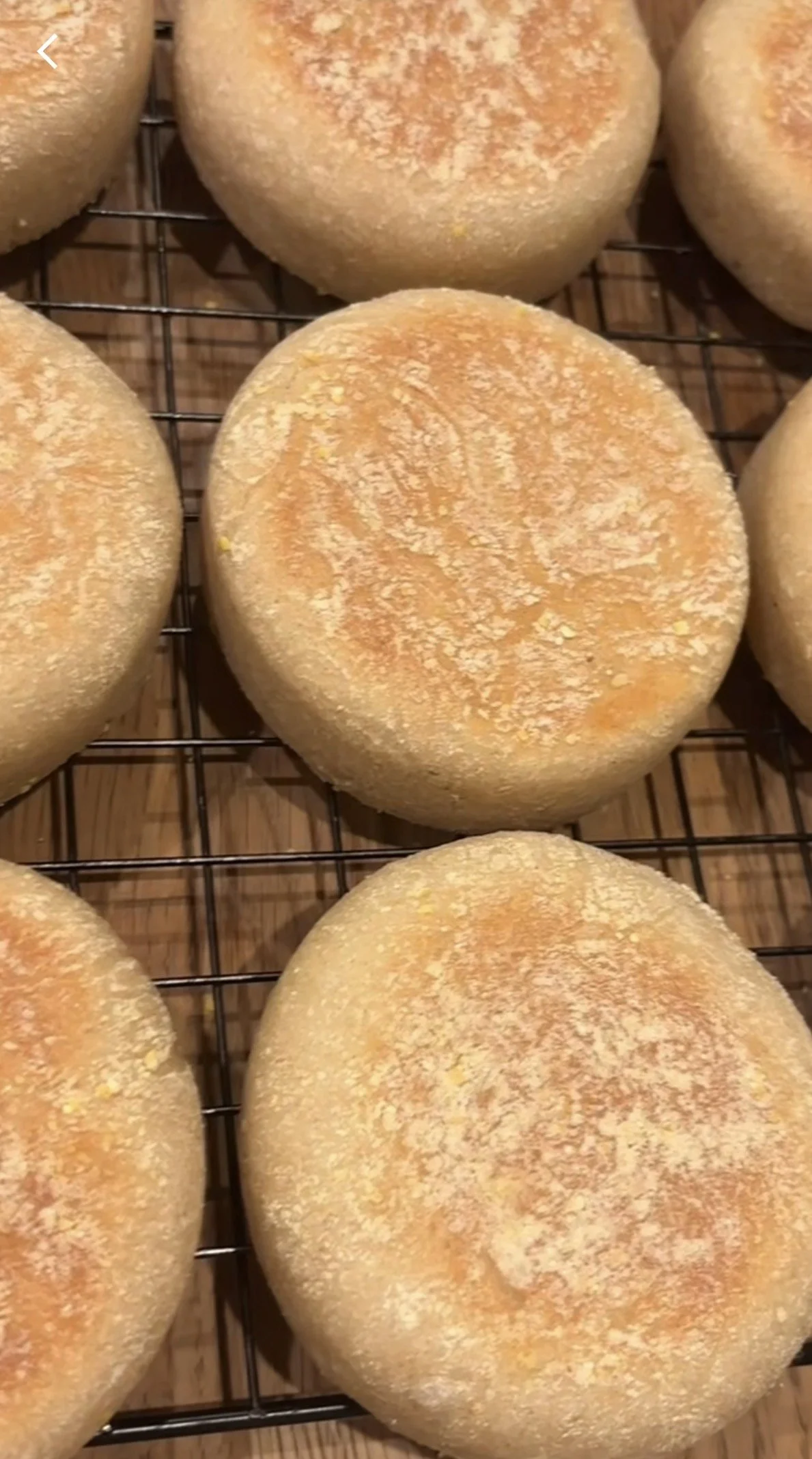 Sourdough English Muffin (6ct)
