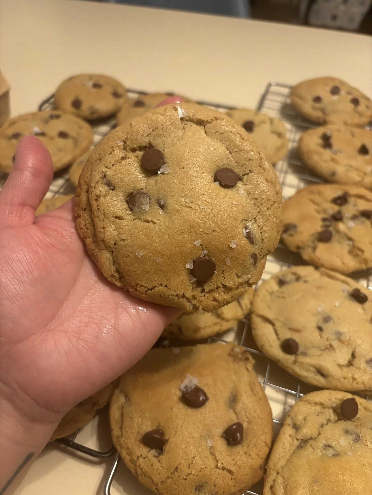 Sourdough Brown Butter Chocolate Chip Cookies (6ct)