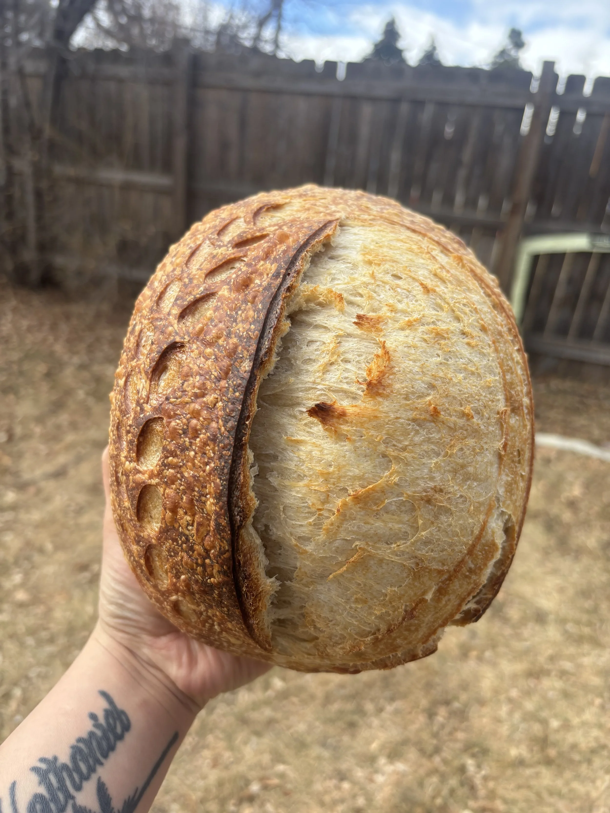 Large Classic Sourdough Boule