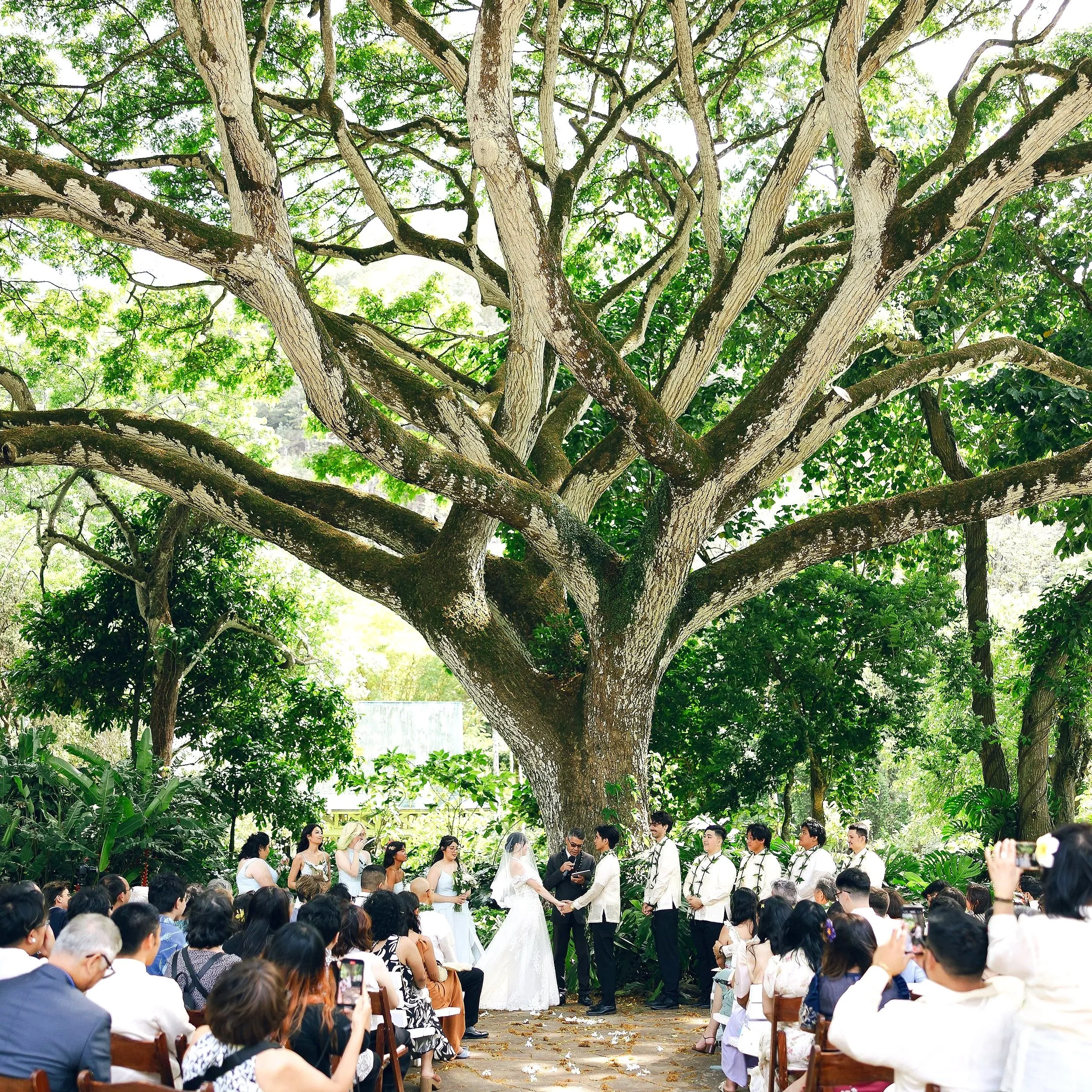Outdoor wedding ceremony beneath a large tree at Waimea Valley on Oʻahu, with the couple exchanging vows and guests seated below