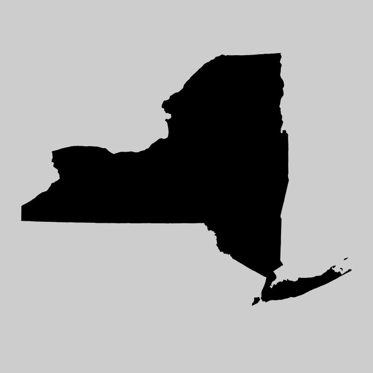 NY Approves Consumer Litigation Funding Act