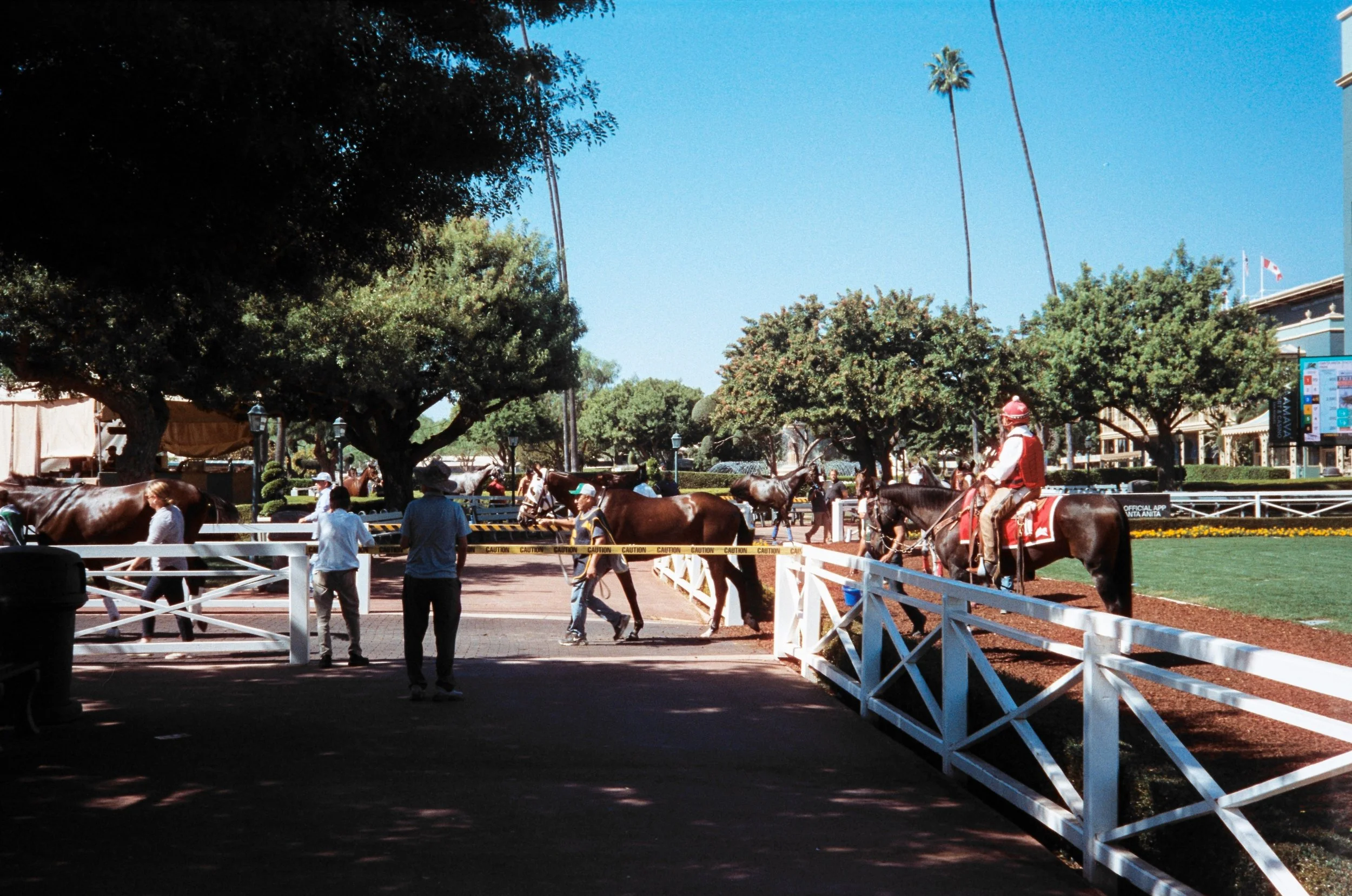 Santa Anita-13.jpg