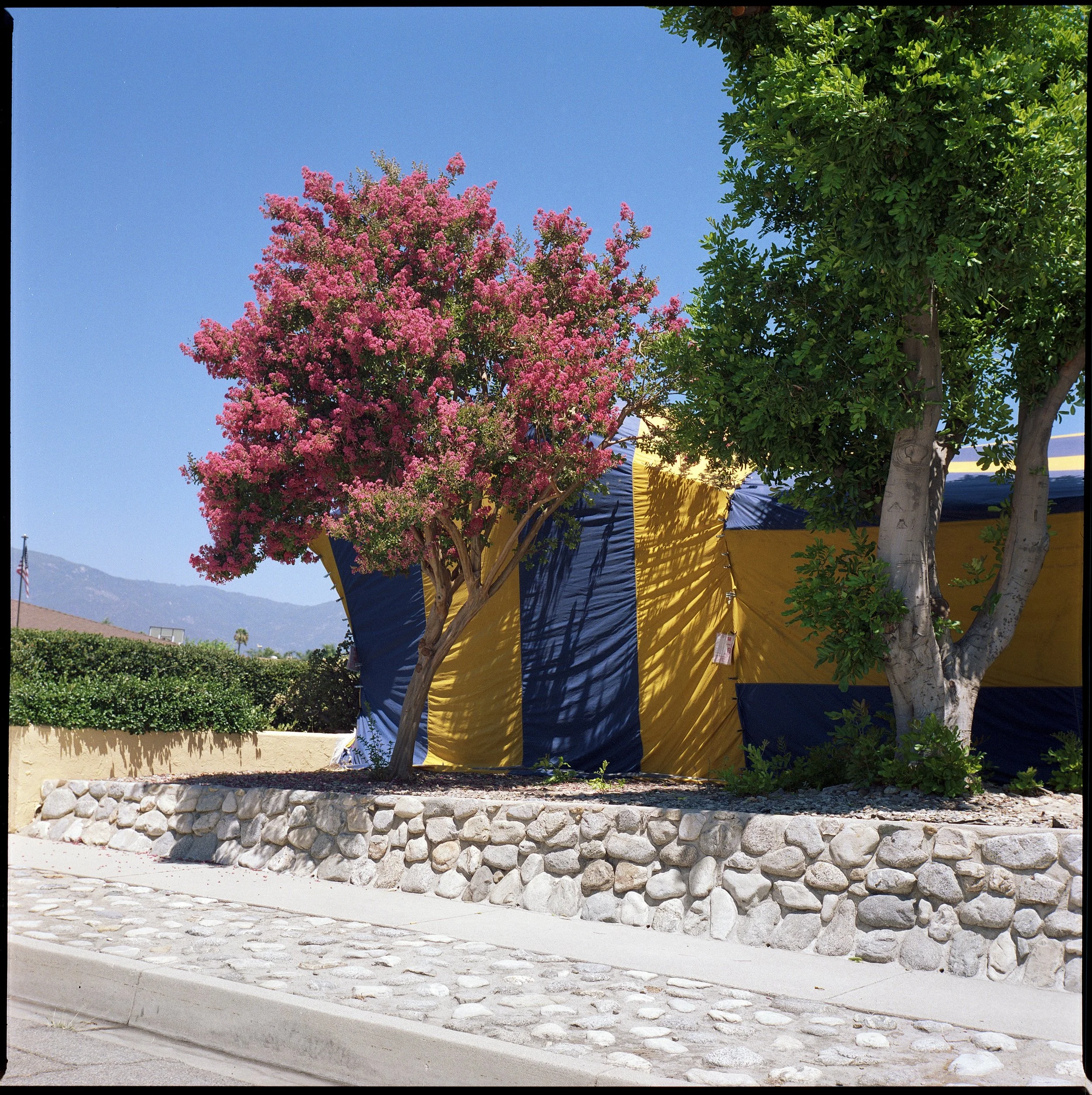 house tent2.jpg