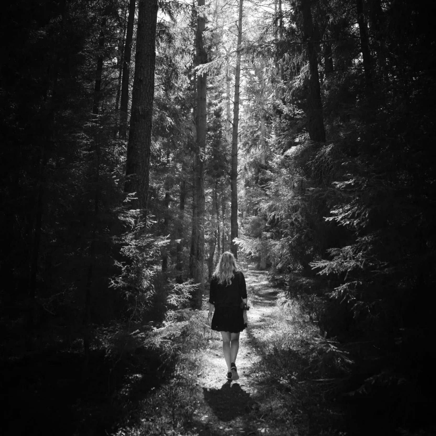 A woman walking down a forest trail surrounded by tall trees with sunlight filtering through the branches.