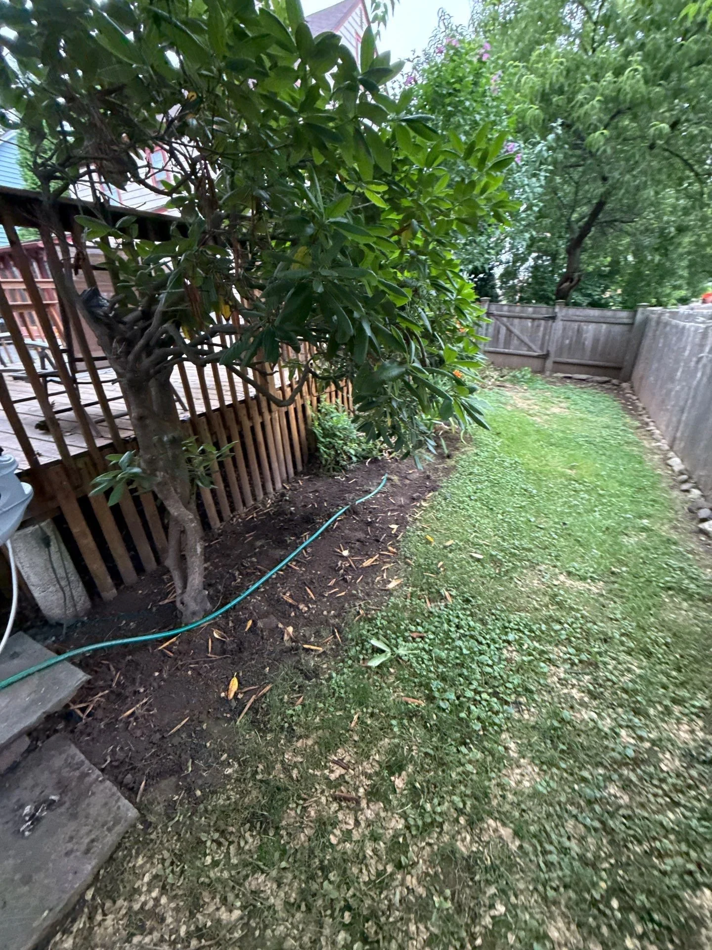 9-Jul 12 2025 12_56pm-gZzz.jpg