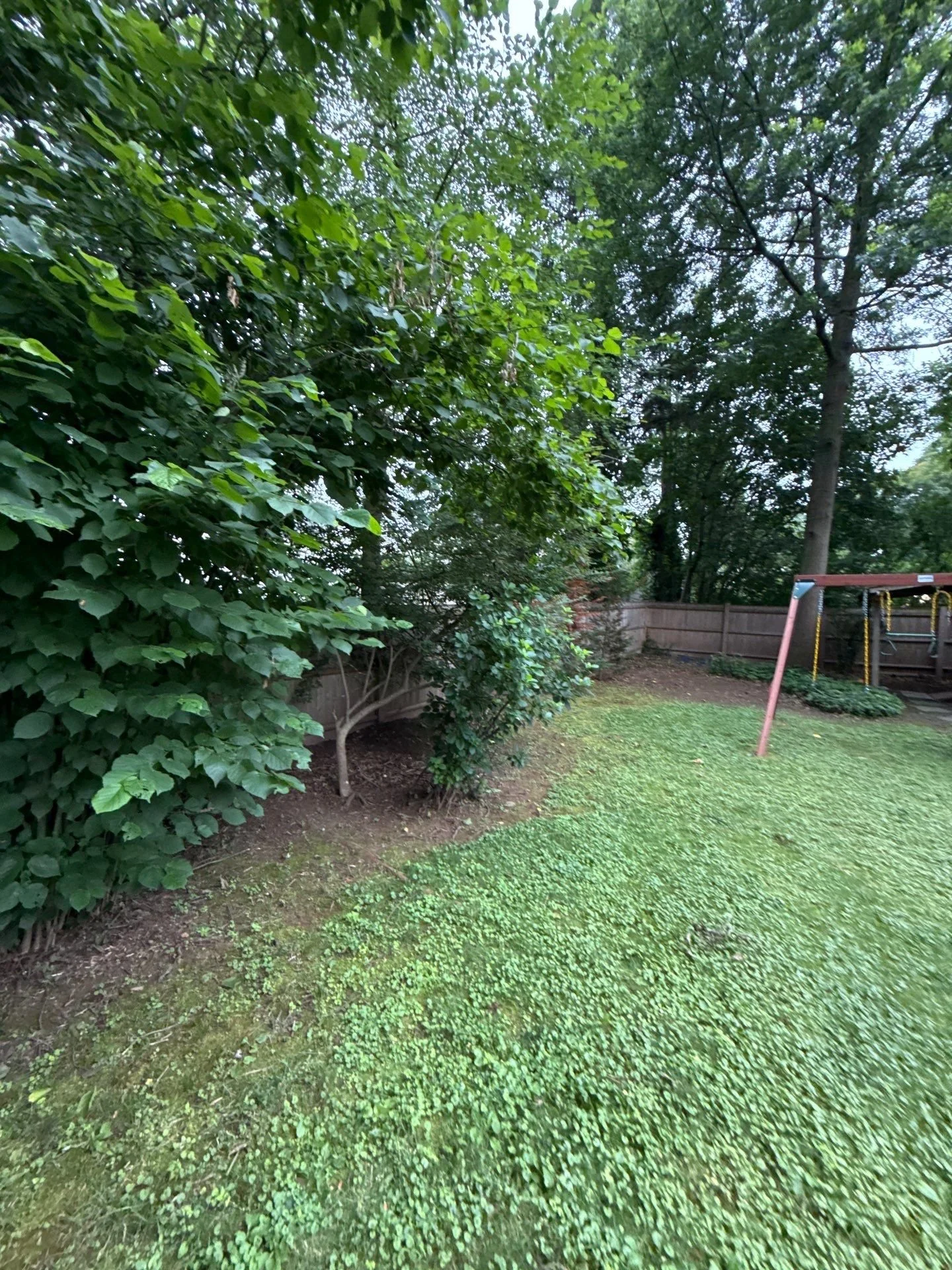 5-Jul 12 2025 12_55pm-pmZq.jpg