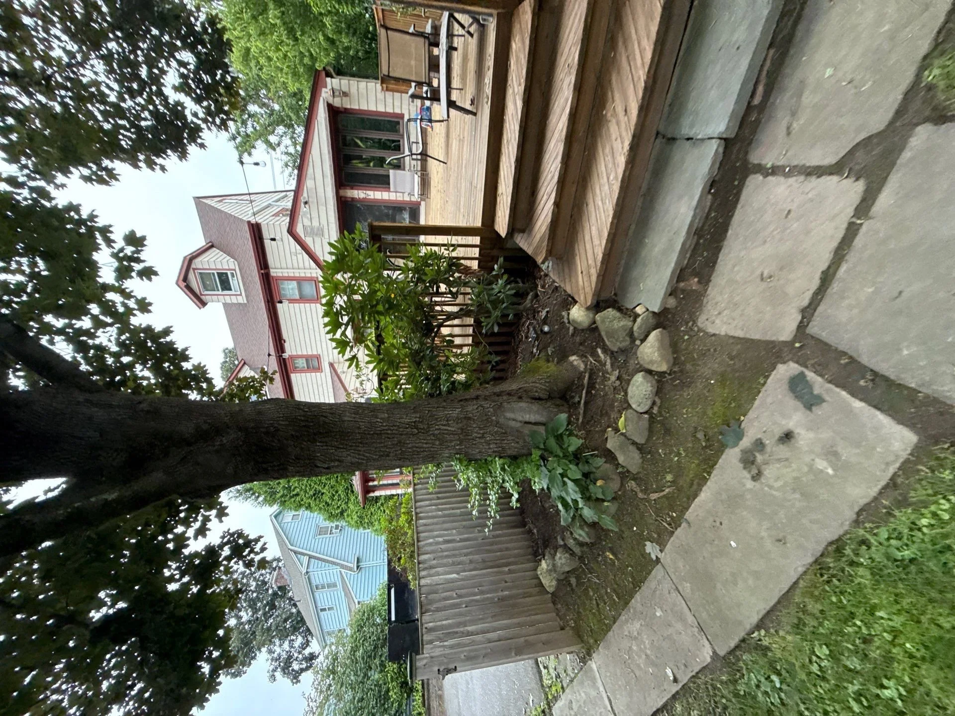 7-Jul 12 2025 12_56pm-qDNz.jpg