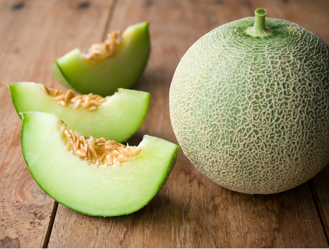 Green Melon - 1.png