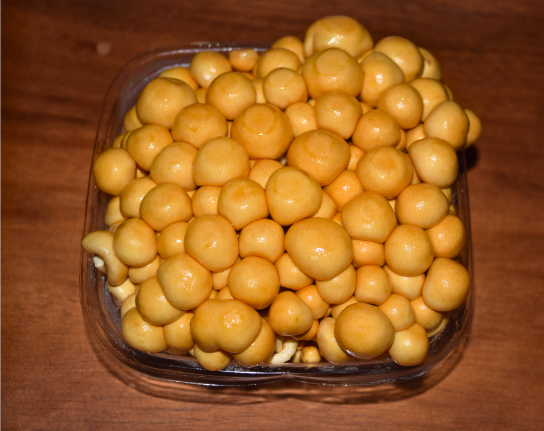 Kabutori Nameko Mushrooms-2.png