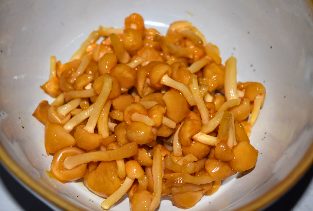 Nameko mushrooms-2.png