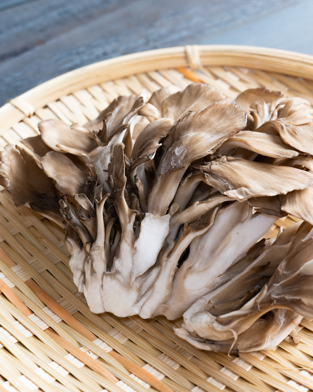 Maitake mushrooms-1.png