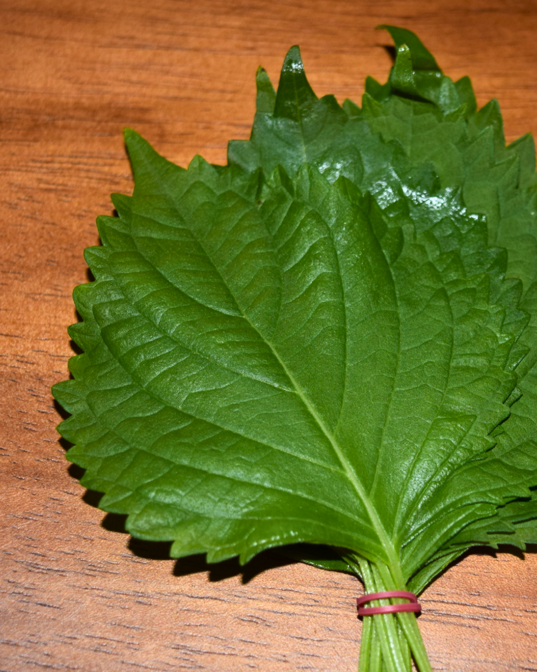 Oba_Shiso Leaves-3.png