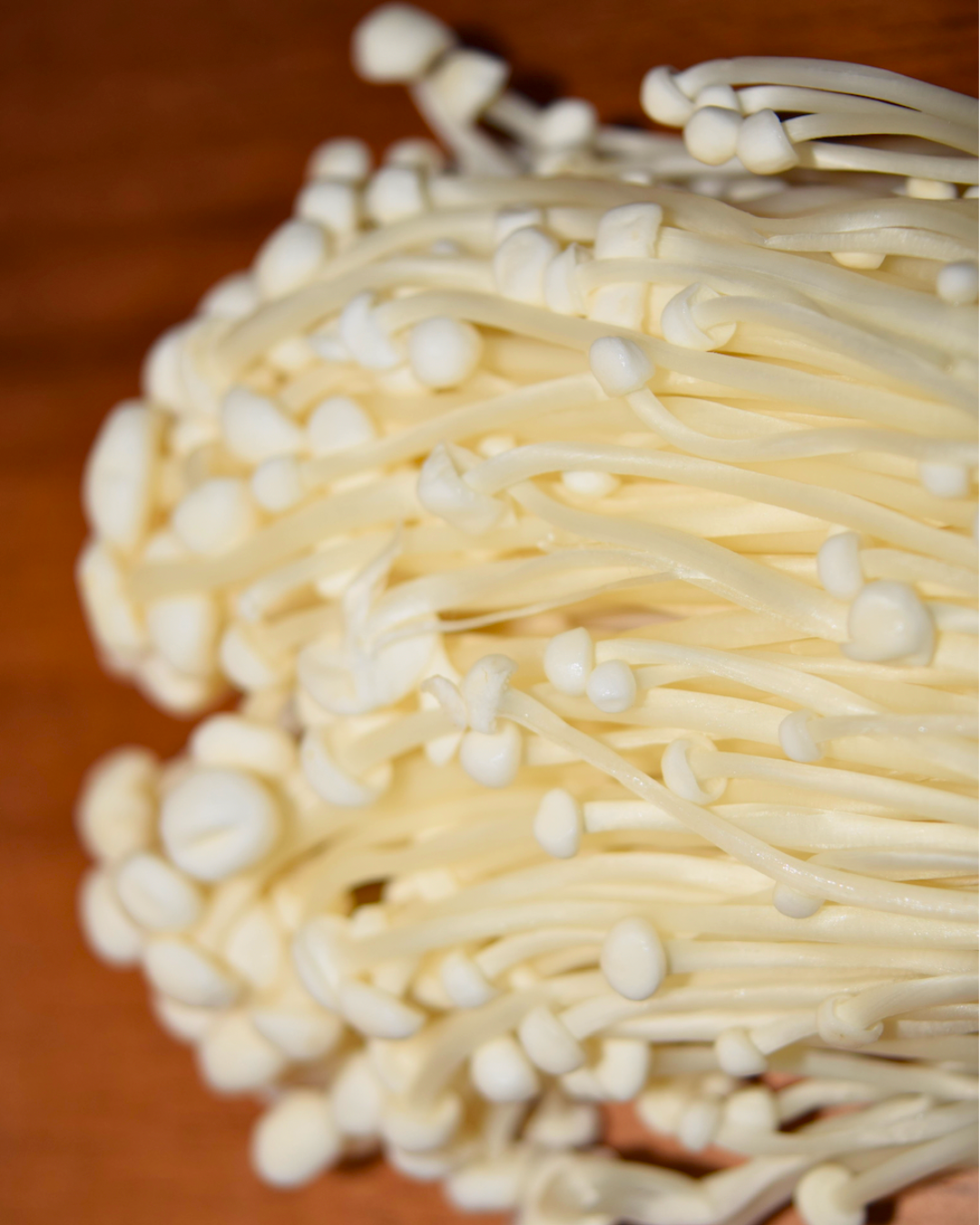 Enoki Mushrooms-3.png