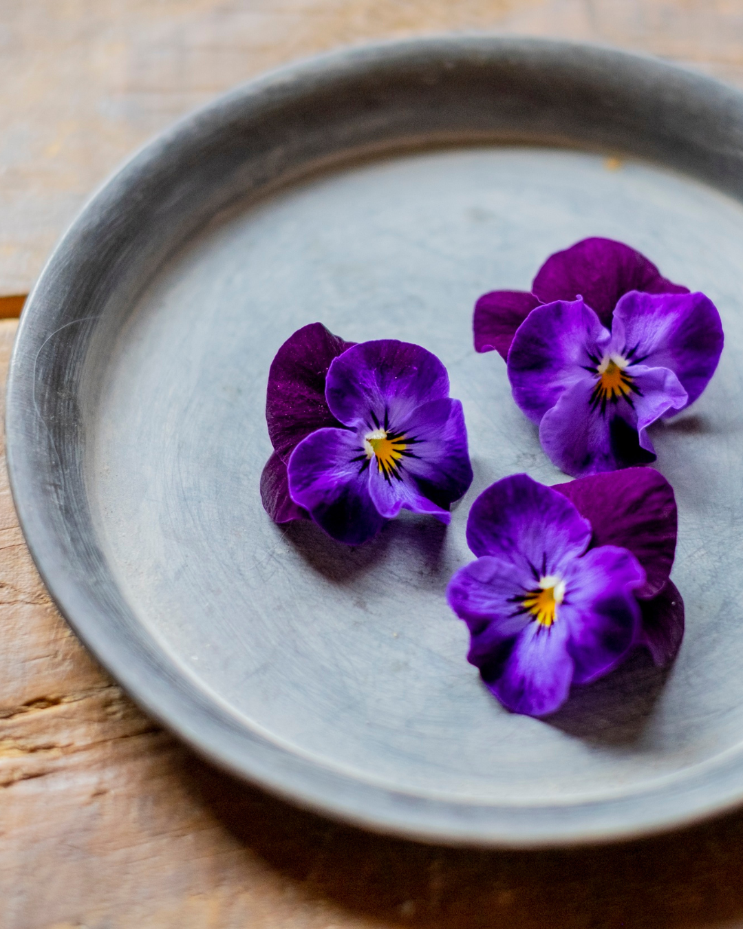 Shiso Flower-1.png