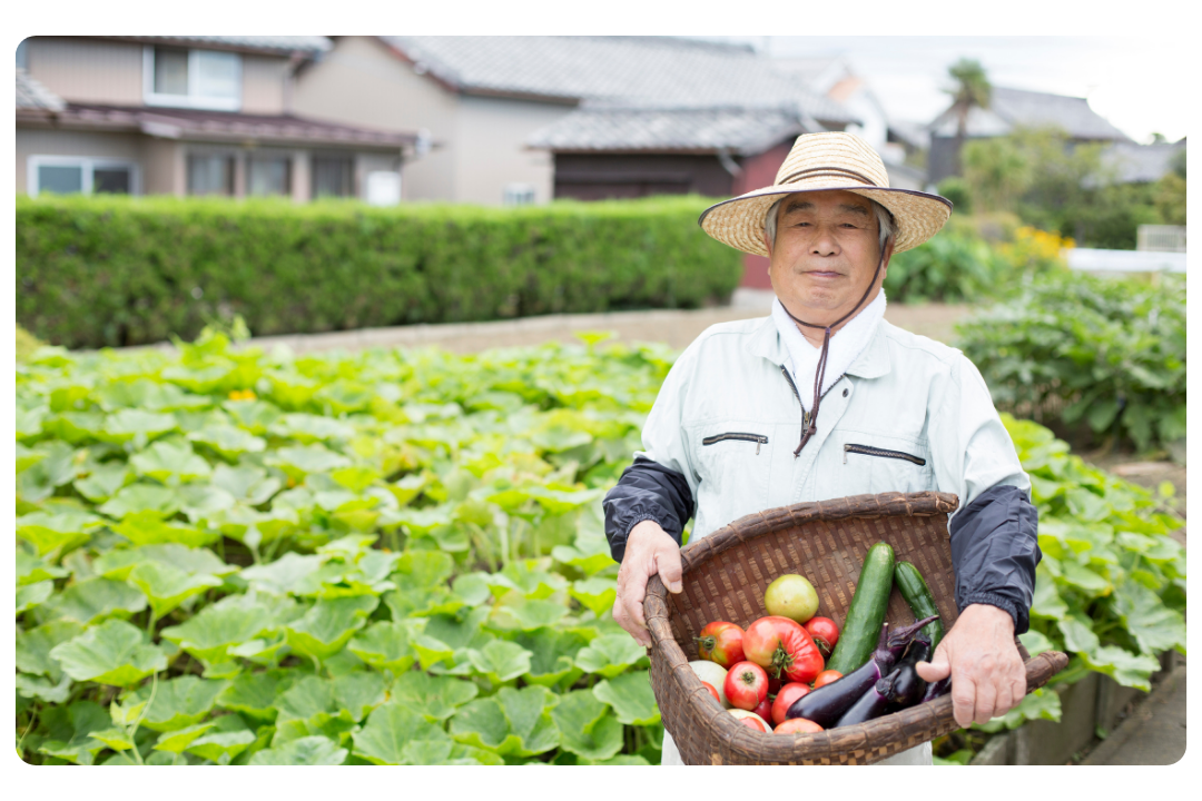 Elderly man holding a basket of fresh vegetables in a garden