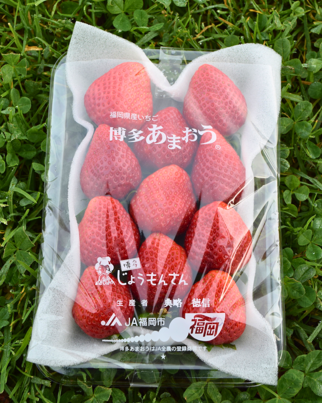 Premium red strawberries-4.png