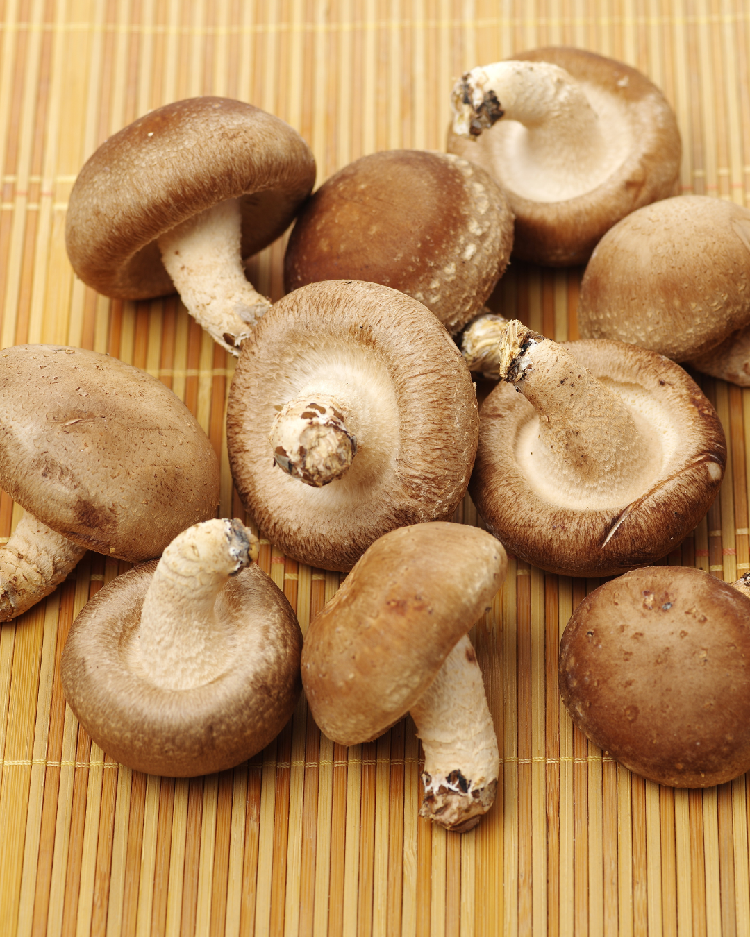 Fresh and Dried Shiitake mushrooms