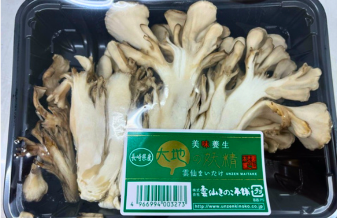 Maitake mushrooms-2.png