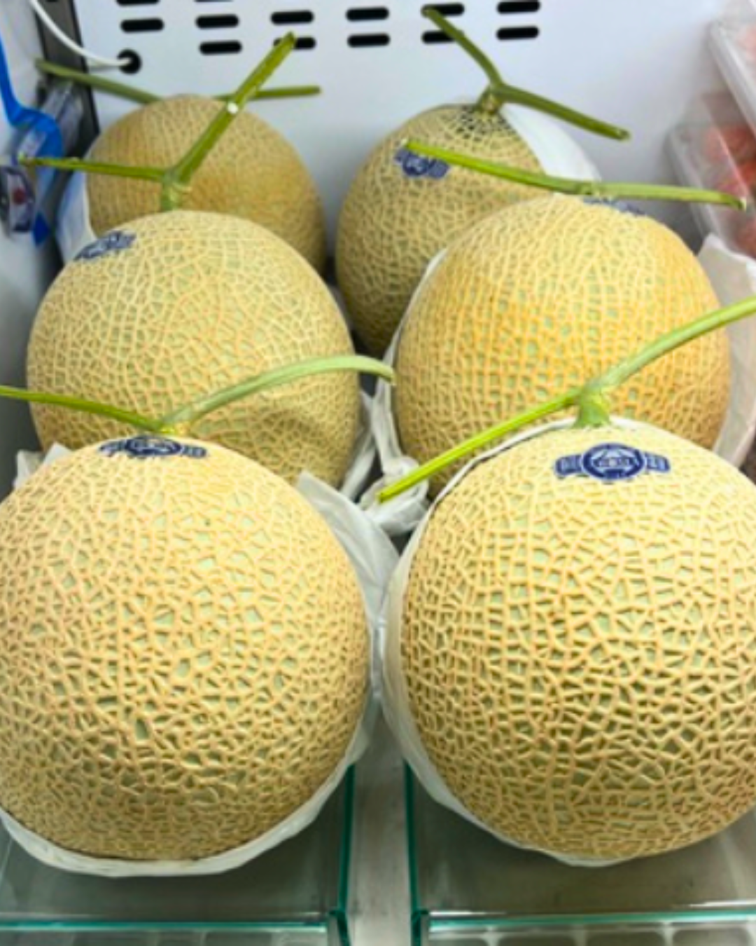 Aroma Musk Melon - 3.png